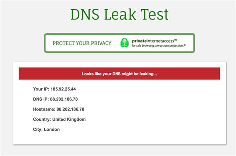 check for ip leak|DNS leak test